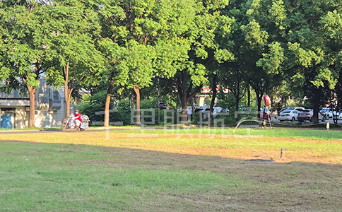 网捕穿越机：空域安全的新守护者